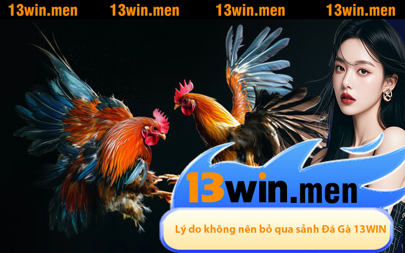 Lý do anh em không nên bỏ qua sảnh Đá Gà 13WIN