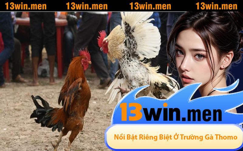 Nổi Bật Riêng Biệt Chỉ Có Ở Trường Gà Thomo
