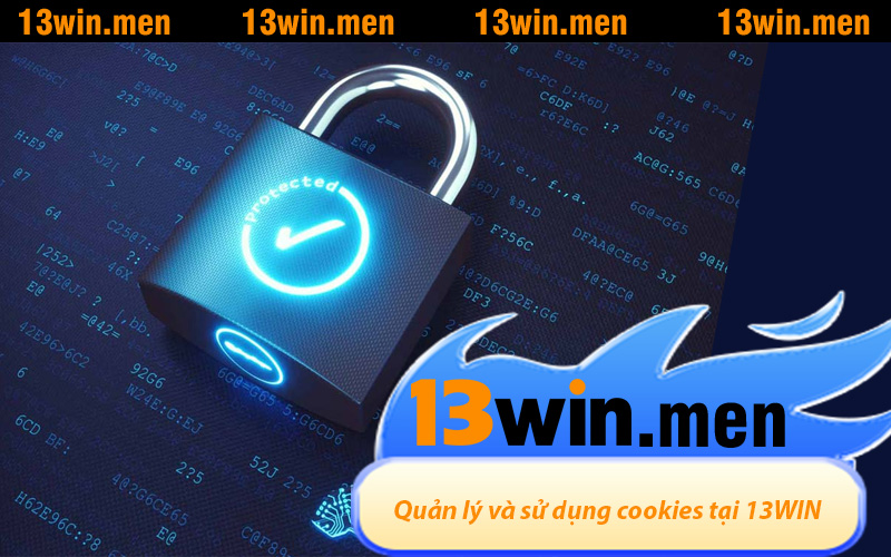 Quản lý và sử dụng cookies tại 13WIN