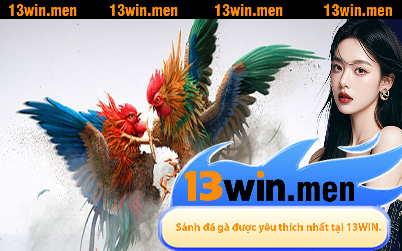 Sảnh đá gà sôi động và được yêu thích nhất tại 13WIN.